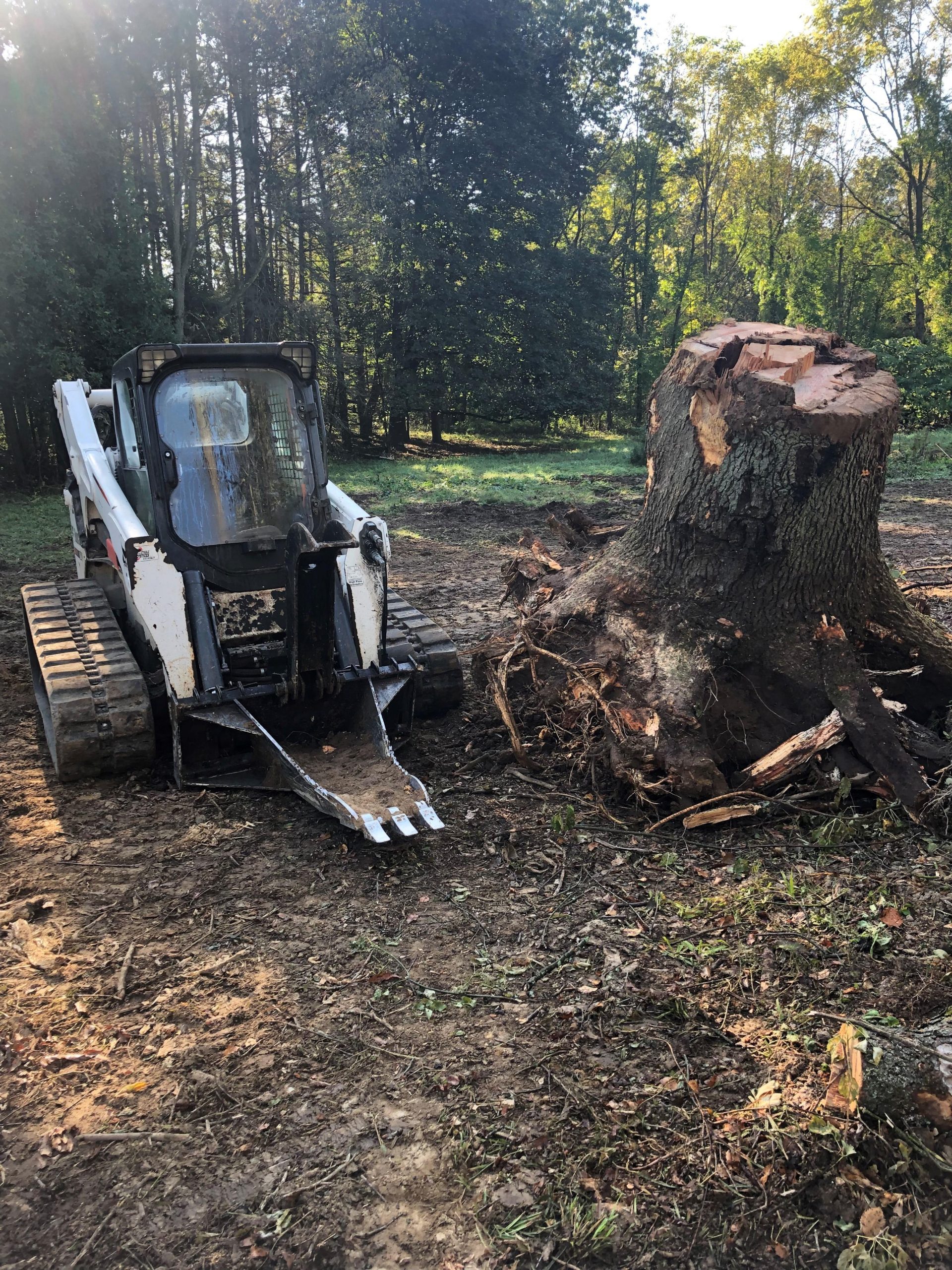 Narrow Skid Steer Tree Stump Removal Bucket